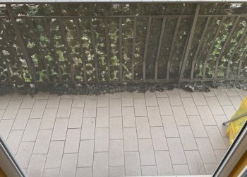 IMG_E4379.JPG - Apartment Via Giacomo Leopardi, Collecchio - photo 17