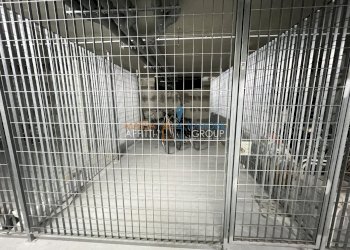 IMG_4987.jpeg - Trilocale Via Poveromo 20, Massa - foto 24