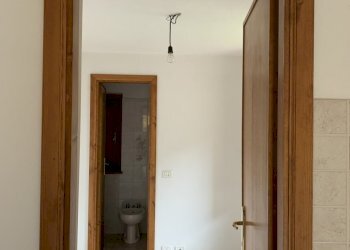 IMG_9802.jpg - Terratetto - Terracielo Camaiore - foto 2