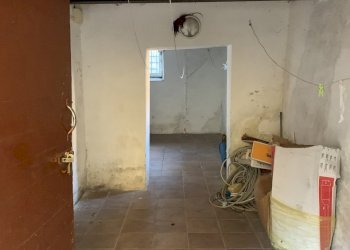 IMG_9581.jpg - Terratetto - Terracielo Camaiore - foto 22