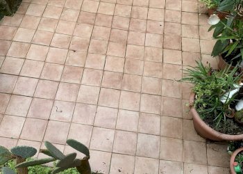 IMG_9807.jpg - Terratetto - Terracielo Camaiore - foto 23