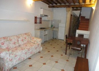 IMG-20200922-WA0006.jpg - Terratetto - Terracielo Pietrasanta - foto 1