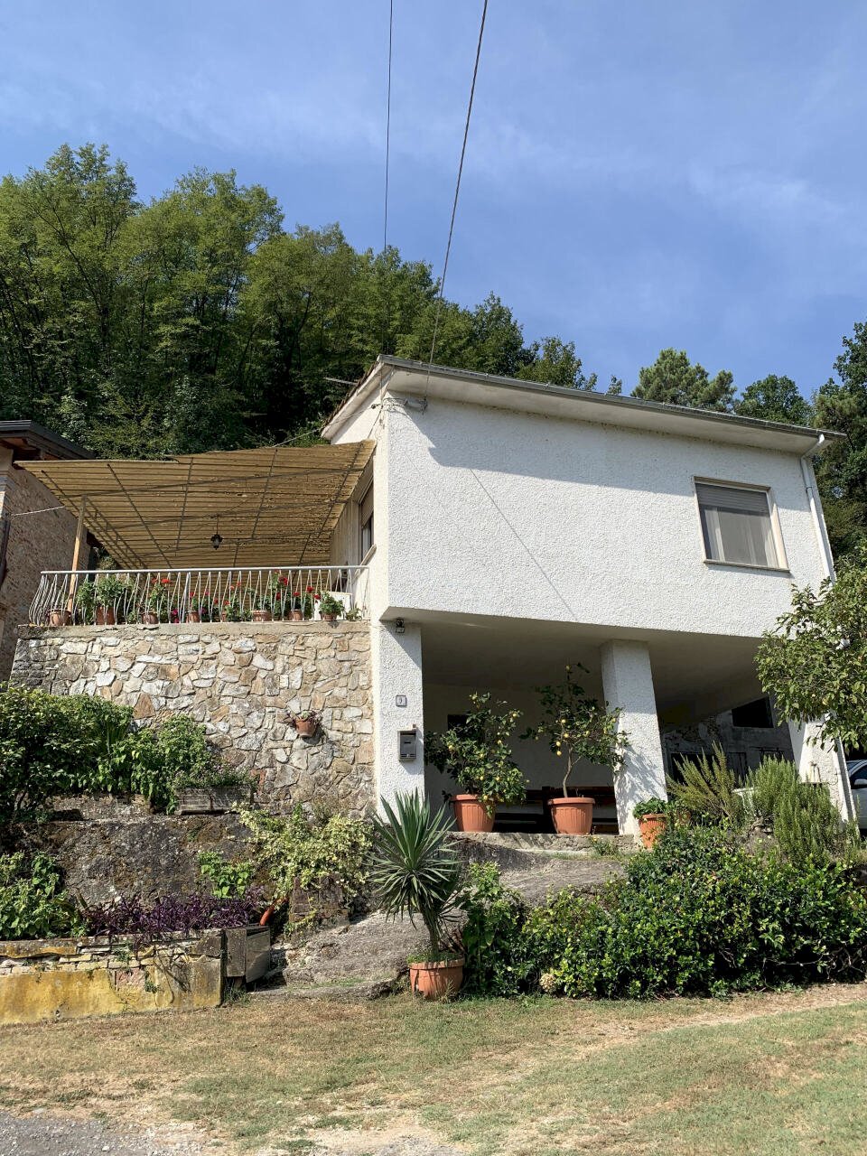 37.jpg - Rustico Camaiore - foto 3