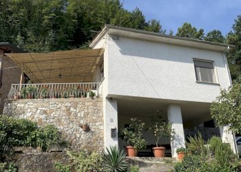 37.jpg - Rustico Camaiore - foto 3