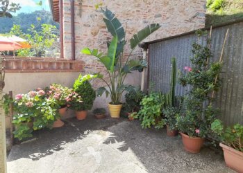 IMG-20250723-WA0006.jpg - Rustico Camaiore - foto 4