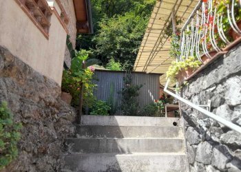 IMG-20250723-WA0007.jpg - Rustico Camaiore - foto 5