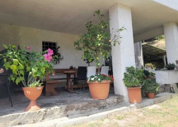 IMG-20250723-WA0008.jpg - Rustico Camaiore - foto 6