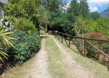 IMG-20250723-WA0009.jpg - Rustico Camaiore - foto 7