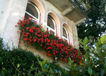 Esterni - Appartamento Brunate - foto 5