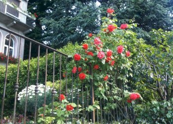 Esterni - Appartamento Brunate - foto 7