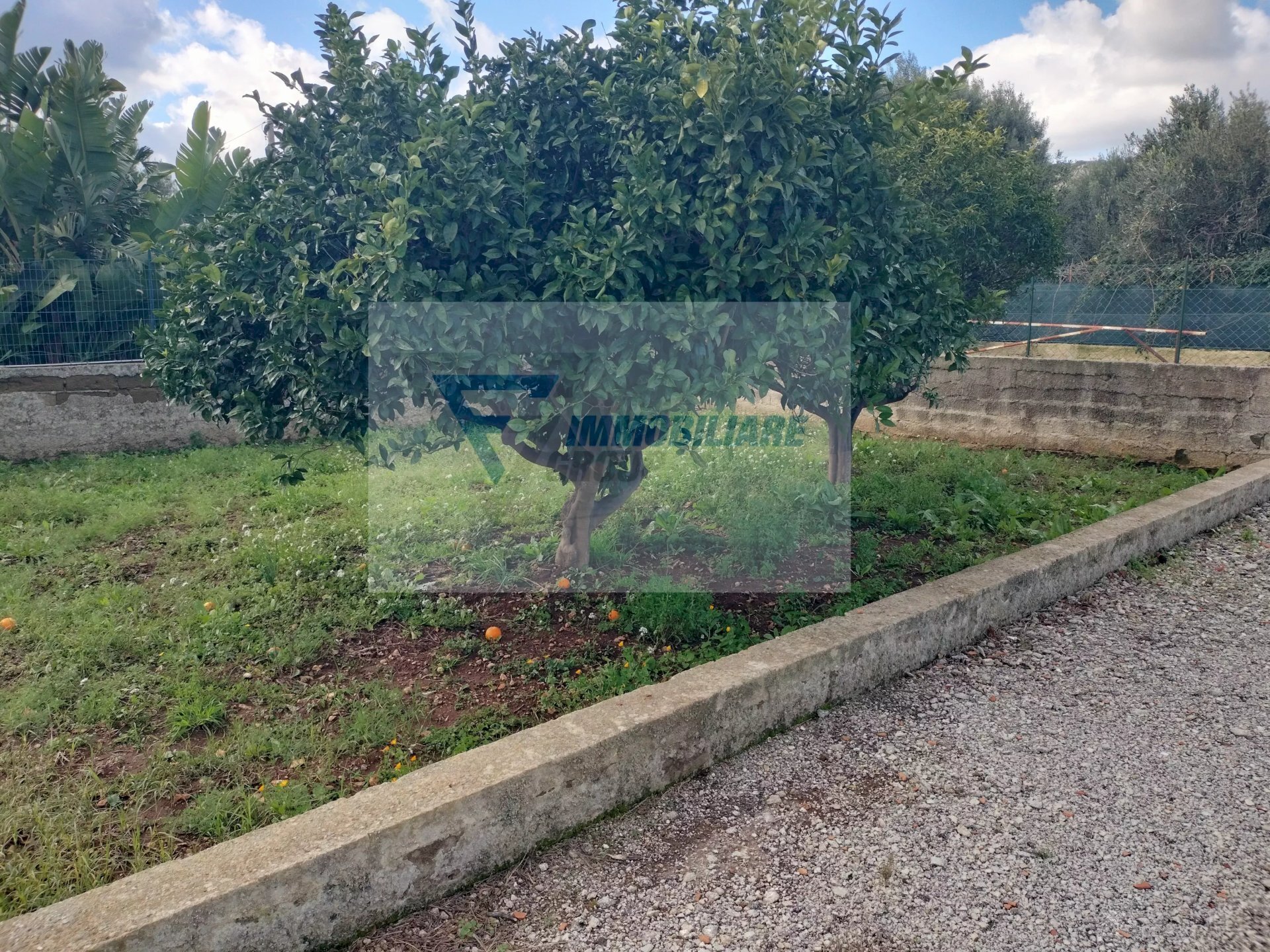 Terreno agricolo Contrada Biggemi, Priolo Gargallo - foto 3