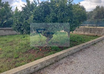 Terreno agricolo Contrada Biggemi, Priolo Gargallo - foto 3