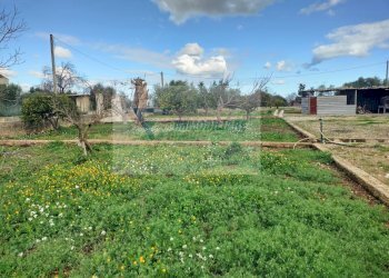 Terreno agricolo Contrada Biggemi, Priolo Gargallo - foto 4