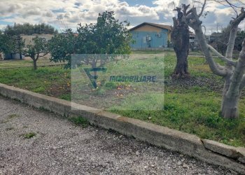 Terreno agricolo Contrada Biggemi, Priolo Gargallo - foto 6