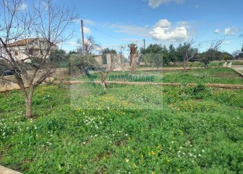 Terreno agricolo Contrada Biggemi, Priolo Gargallo - foto 8