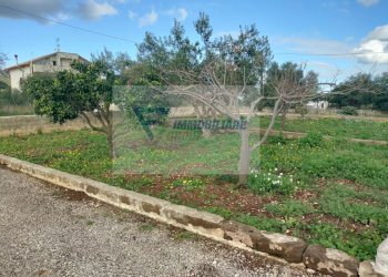 Terreno agricolo Contrada Biggemi, Priolo Gargallo - foto 11