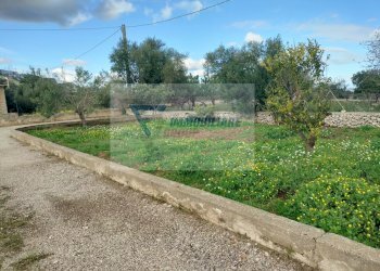 Terreno agricolo Contrada Biggemi, Priolo Gargallo - foto 13