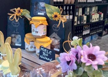 Shop Attività Via Soleri, Taggia - photo 24