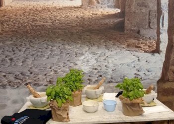 Shop Attività Via Soleri, Taggia - photo 27