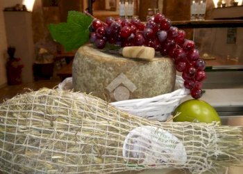 Shop Attività Via Soleri, Taggia - photo 33