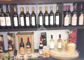 Shop Attività Via Soleri, Taggia - photo 34