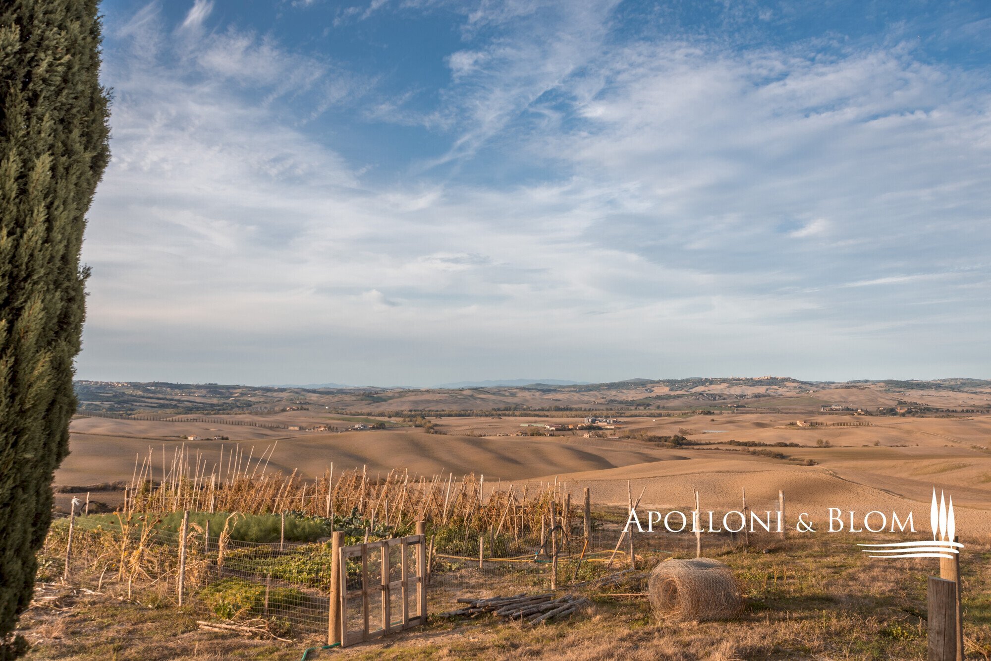 Azienda agricola AURELIA, Gavorrano - foto 1