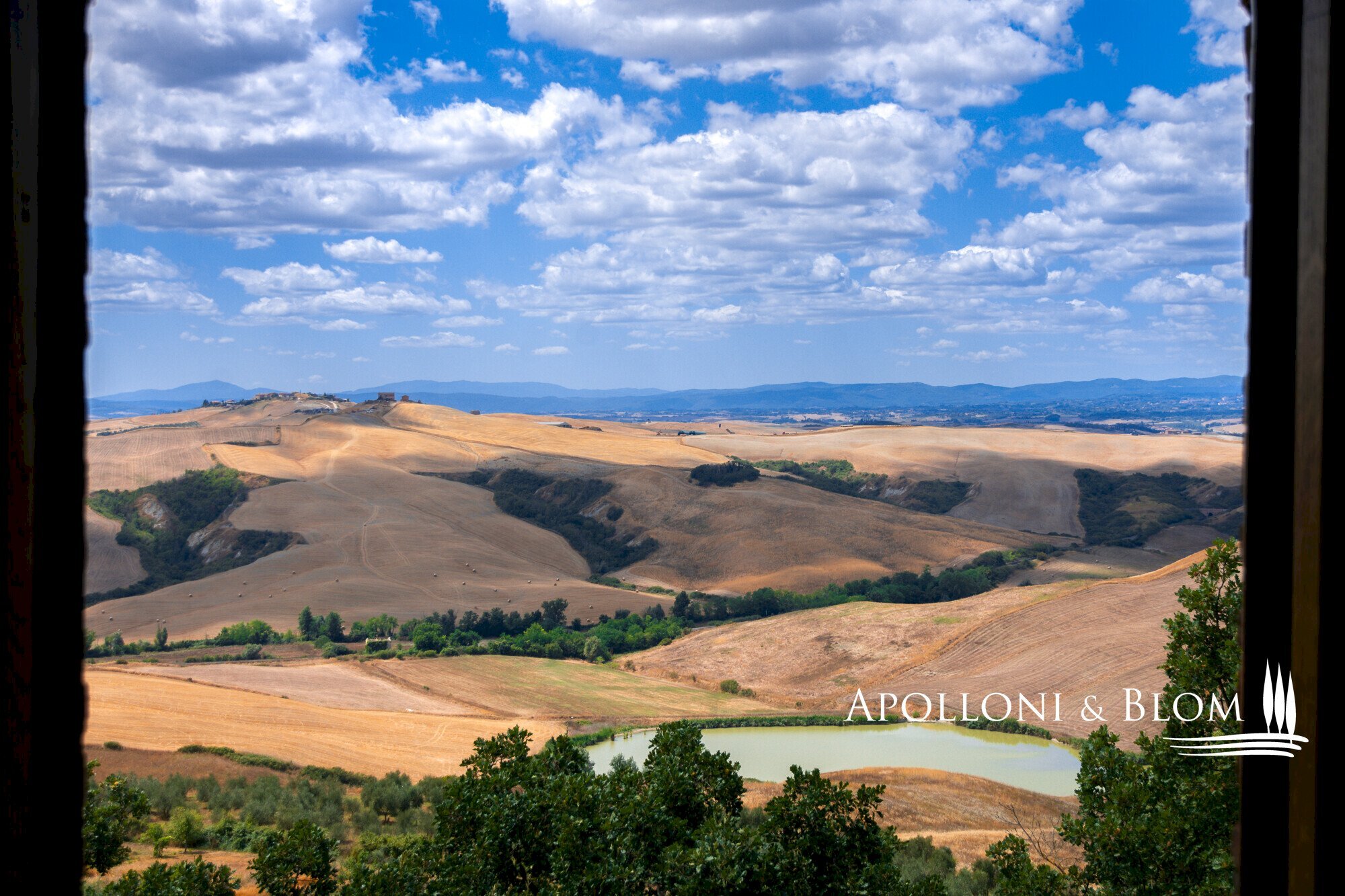 Azienda agricola AURELIA, Gavorrano - foto 2