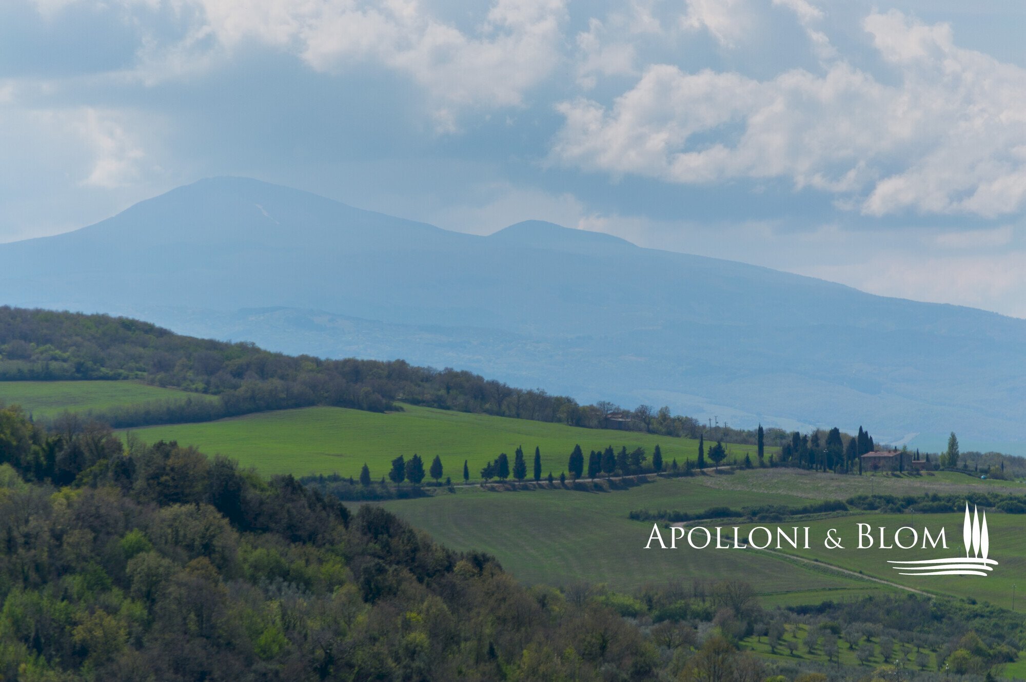 Azienda agricola AURELIA, Gavorrano - foto 3