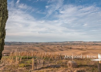 Azienda agricola AURELIA, Gavorrano - foto 1