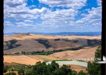 Azienda agricola AURELIA, Gavorrano - foto 2