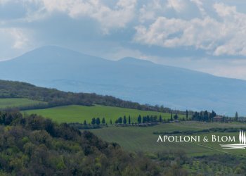 Azienda agricola AURELIA, Gavorrano - foto 3