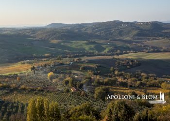 Azienda agricola AURELIA, Gavorrano - foto 4