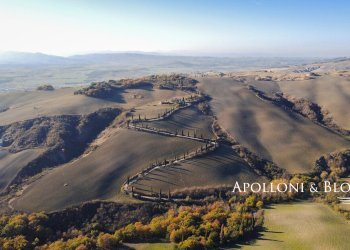 Azienda agricola AURELIA, Gavorrano - foto 5