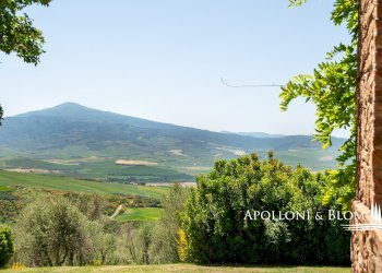 Azienda agricola AURELIA, Gavorrano - foto 6