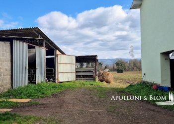 Azienda agricola AURELIA, Gavorrano - foto 9