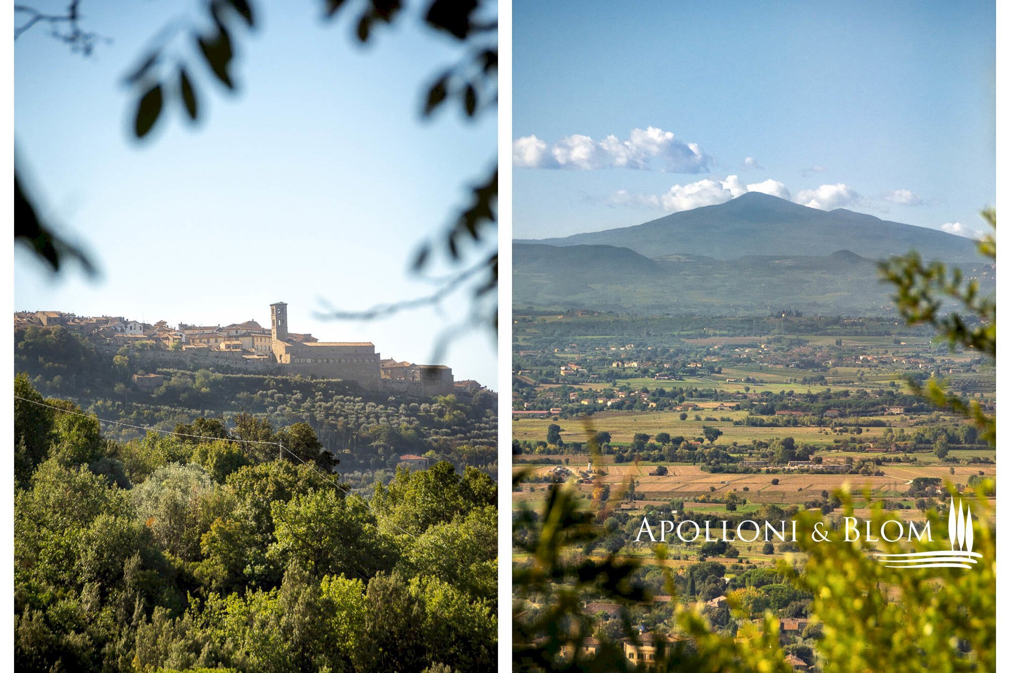 Rustic Catrosse, 7, Cortona - photo 2