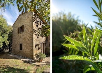 Rustico Catrosse, 7, Cortona - foto 26