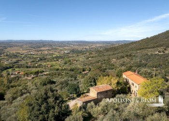 Rustico Catrosse, 7, Cortona - foto 30