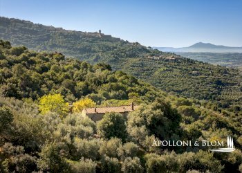 Rustico Catrosse, 7, Cortona - foto 31