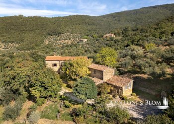 Rustico Catrosse, 7, Cortona - foto 32