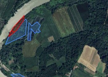 Terreno agricolo Carrù - foto 2