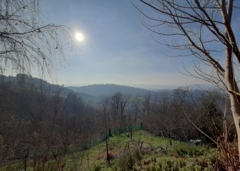 Villa Bifamiliare Cremolino, Cremolino - foto 31