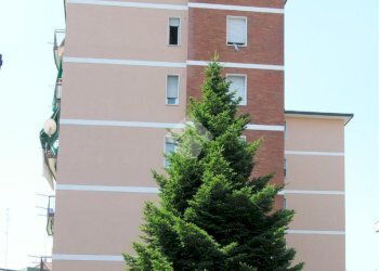 Bilocale Via Ada Negri, Cormano - foto 23