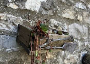 Quadrilocale Sorano - foto 13