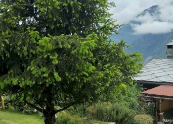 Villa Frazione Moron, Saint-Vincent - photo 8