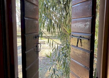 Foto 5 - Casa semi indipendente Ponzano Veneto - foto 5