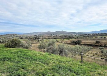 Foto 7 - Villa Gavorrano - foto 7