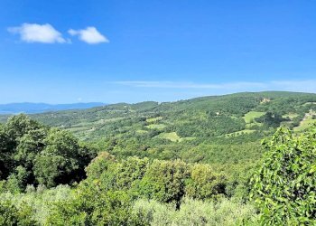 Foto 6 - Rustico Via della Repubblica, Roccastrada - foto 6