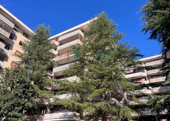 Foto 19 - Trilocale Via Simone Martini, Roma - foto 19