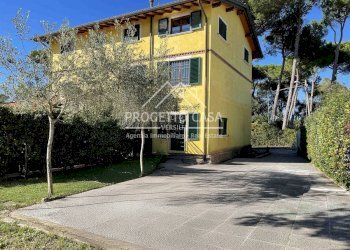 Foto 1 - Casa indipendente via MONTEGABBERI, Pietrasanta - foto 1